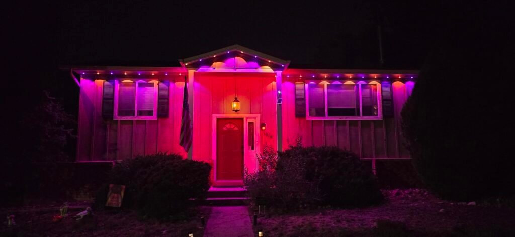 GOVEE LIGHT INSTALLATION NEAR ME TX